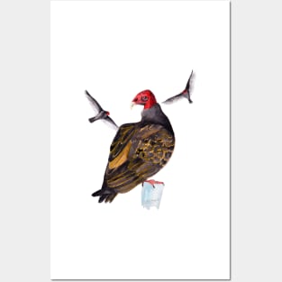 Turkey Vultures Posters and Art